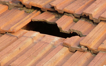 roof repair Berry Cross, Devon